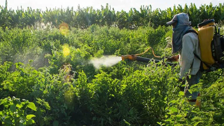 L’ère de l’utilisation des pesticides et des aliments riches en pesticides prendra fin