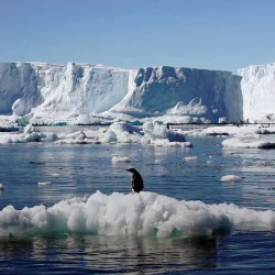 Le monde est alarmant, le seuil a été franchi dans la crise climatique mondiale