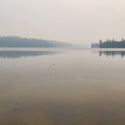 Le changement climatique menace désormais un pilier de l’enfance : les vacances d’été