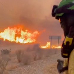L&rsquo;un des incendies de forêt les plus meurtriers d&rsquo;Espagne fait au moins 12 morts et 23 autres disparus