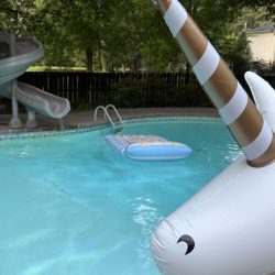 Une tendance estivale brûlante dans l’économie du partage ? Piscines en location