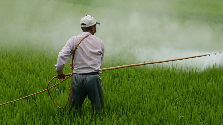 270 notifications, 197 refus aux frontières, les bulletins de pesticides sont toujours mauvais !