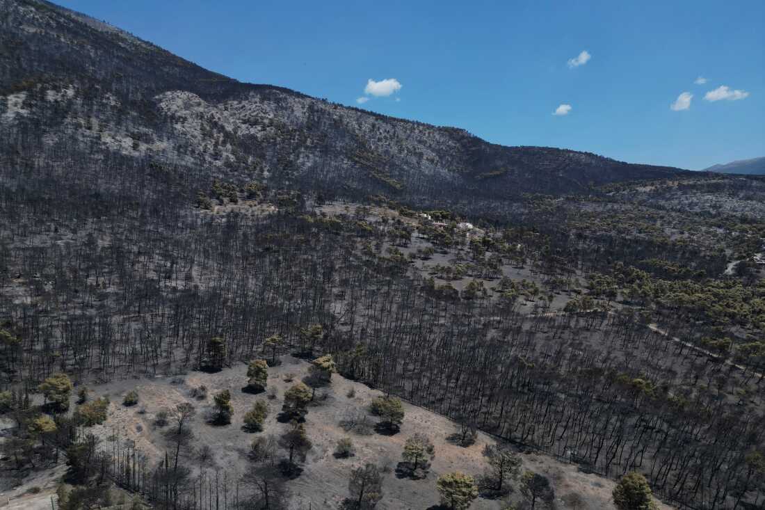 Une vue aérienne montre une forêt brûlée après un incendie de forêt près de Porto Germeno, au nord-ouest d'Athènes, en Grèce, le mardi 4 août 2026.