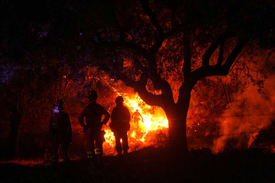 Les pompiers utilisent un brûlage contrôlé pour stopper un incendie de forêt qui continue de se propager près de Cebreros, province d'Ávila, Espagne, le mardi 28 juillet 2026.