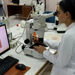 Première en Turquie : la génétique des bovins du pays sera modifiée grâce au transfert d’embryons