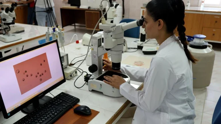Première en Turquie : la génétique des bovins du pays sera modifiée grâce au transfert d’embryons