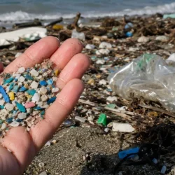 Des larmes de Méditerranée ! Le microplastique s’échoue sur le rivage !