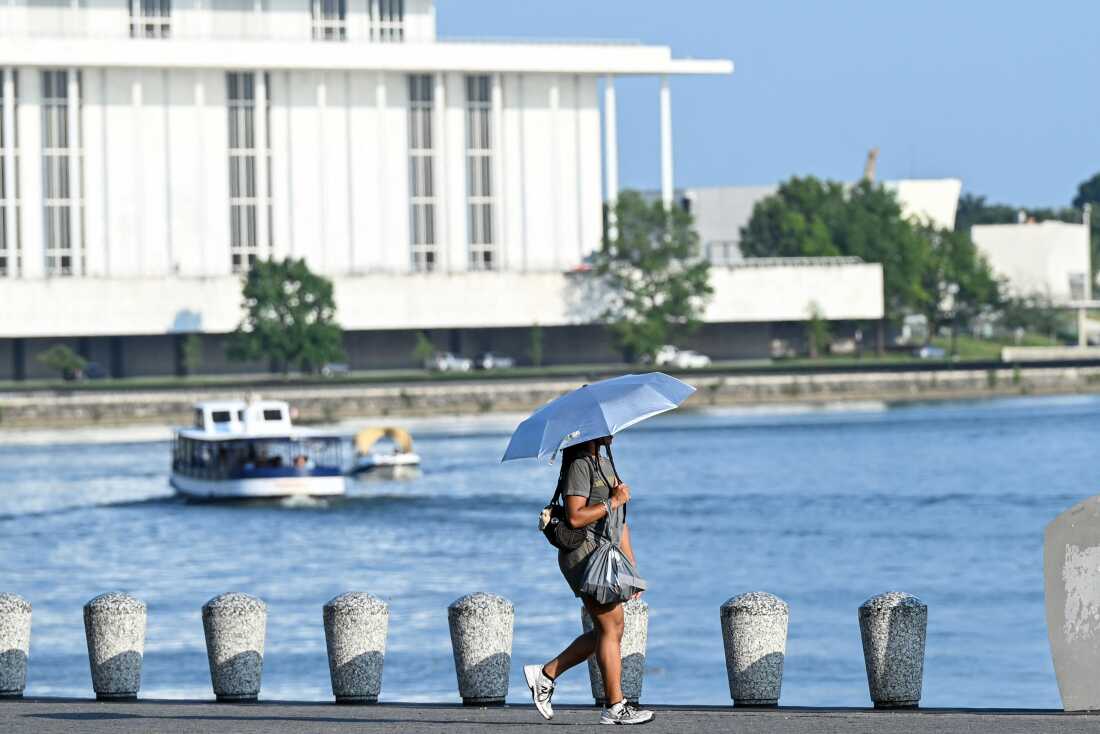 Une personne utilise un parapluie pour rester au frais en marchant le long de la rivière Potomac pendant une vague de chaleur à Washington, DC, en juillet.