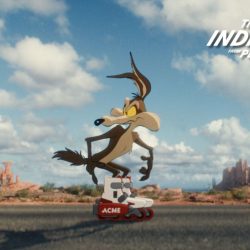 Coyote vs Acme obtient enfin sa grande chance : L&rsquo;indicateur de Planet Money : NPR