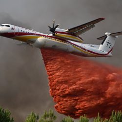 Des milliers de personnes en France sont autorisées à rentrer chez elles alors que l&rsquo;Europe lutte contre les incendies de forêt et la canicule
