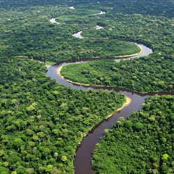 Grand secret sous la forêt amazonienne ! Des centaines de structures cachées découvertes