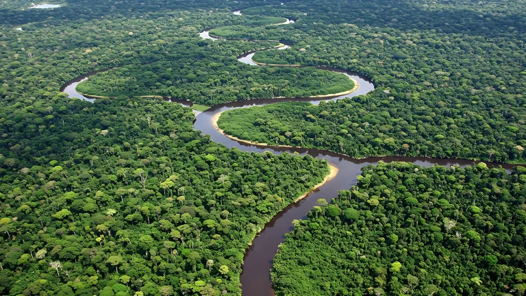 Grand secret sous la forêt amazonienne ! Des centaines de structures cachées découvertes