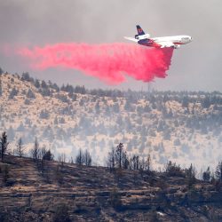 L’Oregon est sur la bonne voie pour connaître sa pire saison d’incendies de forêt à ce jour