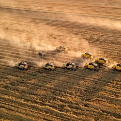 TMO a battu un record avec l&rsquo;achat de 8,3 millions de tonnes de céréales