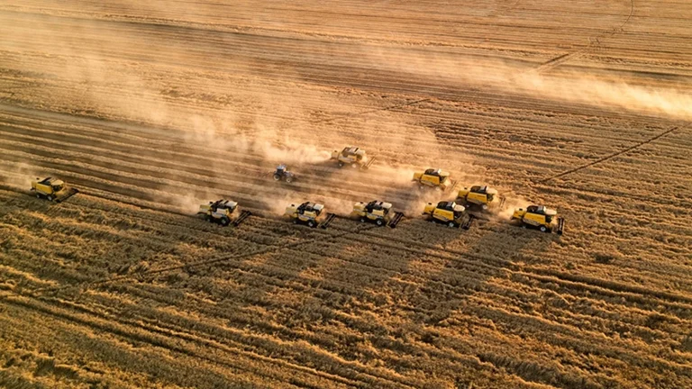 TMO a battu un record avec l&rsquo;achat de 8,3 millions de tonnes de céréales
