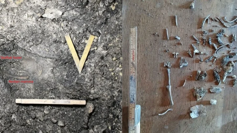 Une mère de 9 500 ans et son bébé à naître ont été retrouvés !