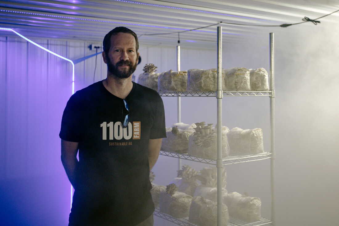 Les champignons poussent dans une salle de fruiterie située à l'intérieur d'une ancienne porcherie rénovée par la famille Faaborg. La famille Faaborg cultive des champignons spéciaux à la ferme 1100, dans le centre de l'Iowa. Tyler Faaborg a déclaré que la famille fabrique ses propres blocs de champignons, ce qui coûte moins cher que de les acheter. Ils sont composés à 50 % de coque de soja ; 50% de granulés de bois dur.