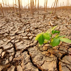 Alerte au seuil de crise climatique de l’ONU !
