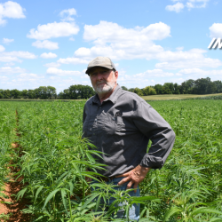 Comment les entreprises de chanvre-THC se préparent à une interdiction quasi totale : L&rsquo;indicateur de Planet Money : NPR