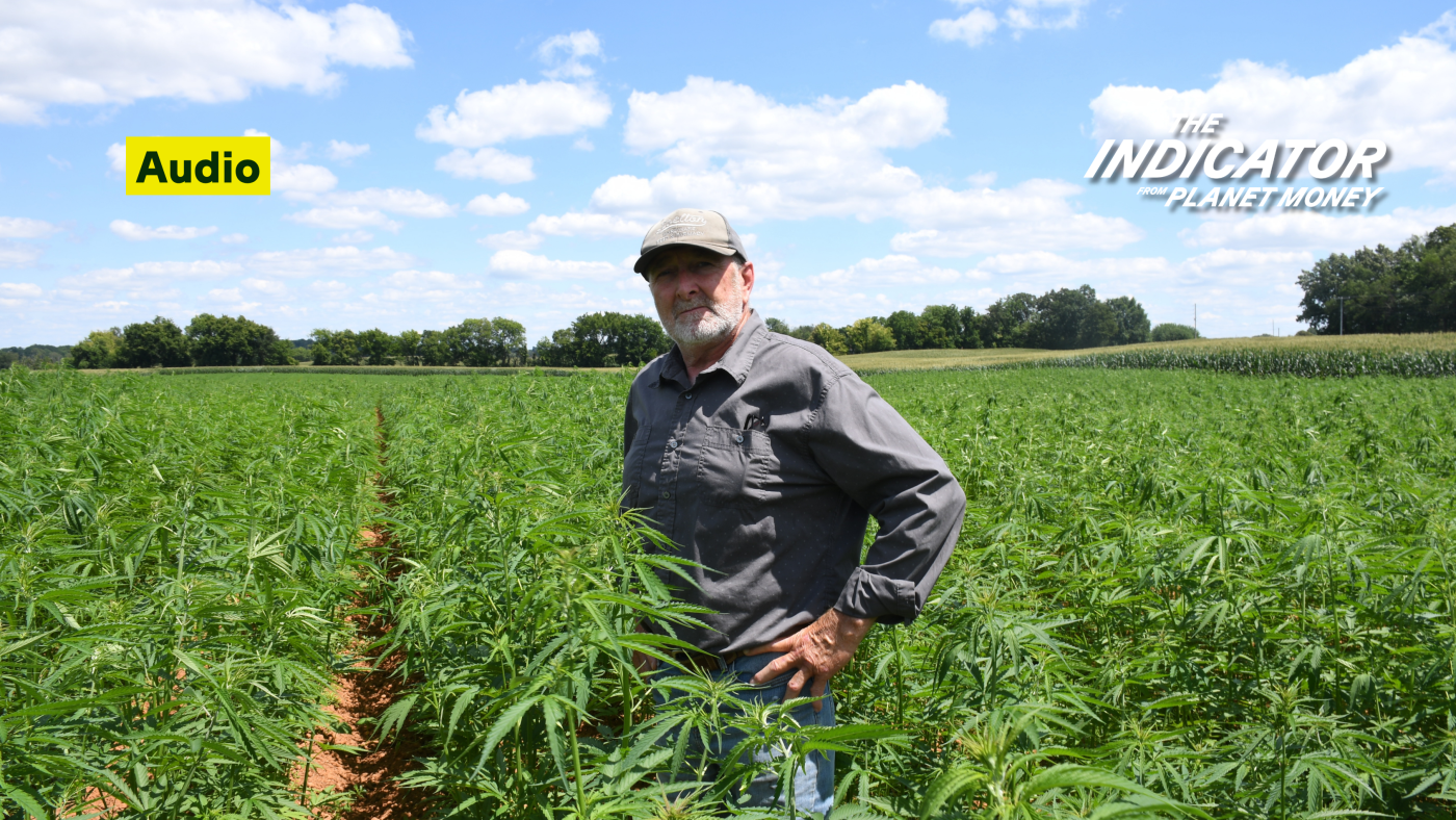 Comment les entreprises de chanvre-THC se préparent à une interdiction quasi totale : L'indicateur de Planet Money : NPR