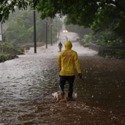 La Basse-Californie au Mexique se prépare à l&rsquo;ouragan Polo alors que l&rsquo;ouragan Nolo menace Hawaï