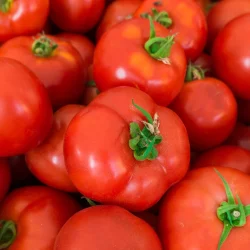 Les pesticides sont à l&rsquo;ordre du jour, gros avertissement de risque pour les hommes
