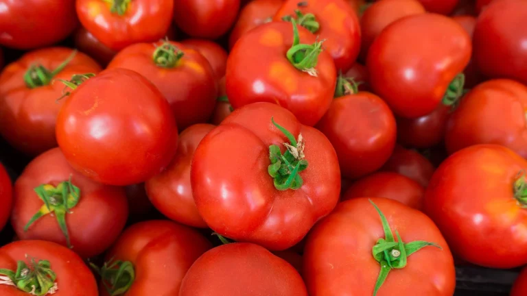 Les pesticides sont à l&rsquo;ordre du jour, gros avertissement de risque pour les hommes