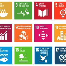 L’un des 17 « objectifs de développement durable » de l’ONU sera-t-il atteint d’ici 2030 ?