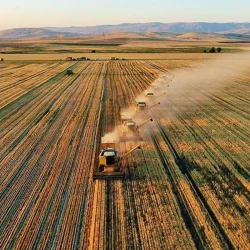 Selon le MTP, des mesures seront prises pour réduire la volatilité des prix alimentaires