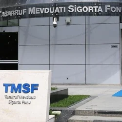 TMSF met en vente 2 autres sociétés