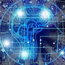 Voici la carte numérique d&rsquo;Istanbul, une personne sur deux utilise l&rsquo;intelligence artificielle
