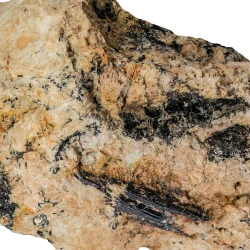 Un énorme progrès dans le thorium, une puissance stratégique de 28 milliards de dollars
