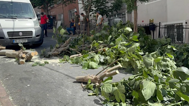 Le danger silencieux d&rsquo;Istanbul, solide à l&rsquo;extérieur, pourri à l&rsquo;intérieur !