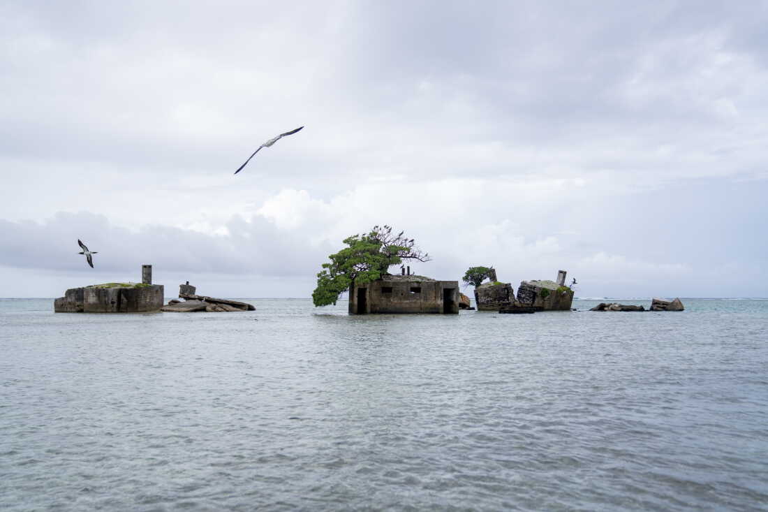 Bunkers militaires défunts.