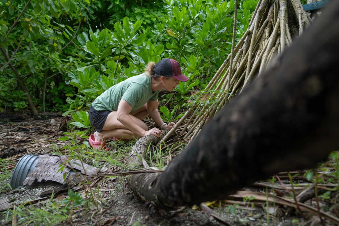 Katie Franklin recherche des traces d'oiseaux dans une forêt de l'île