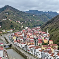 Il y a deux Yağlıderes en Amérique