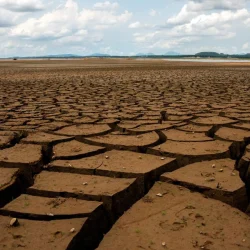 La température a augmenté, la cuisine a brûlé ! La crise climatique se déroule à la table