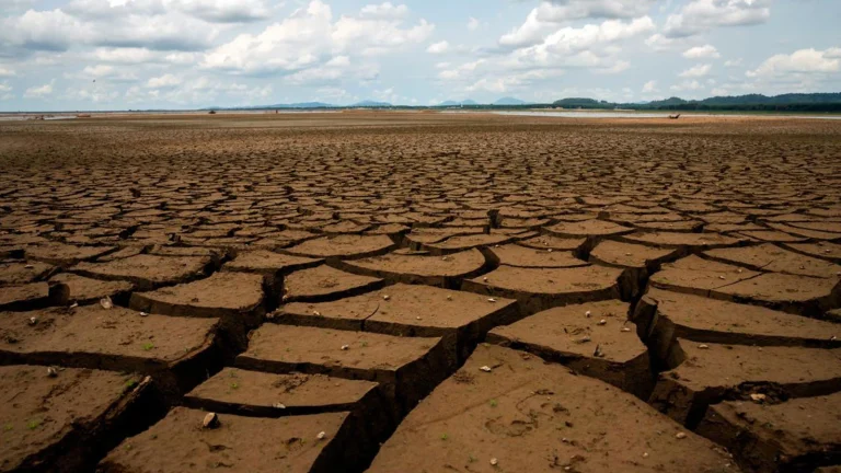 La température a augmenté, la cuisine a brûlé ! La crise climatique se déroule à la table
