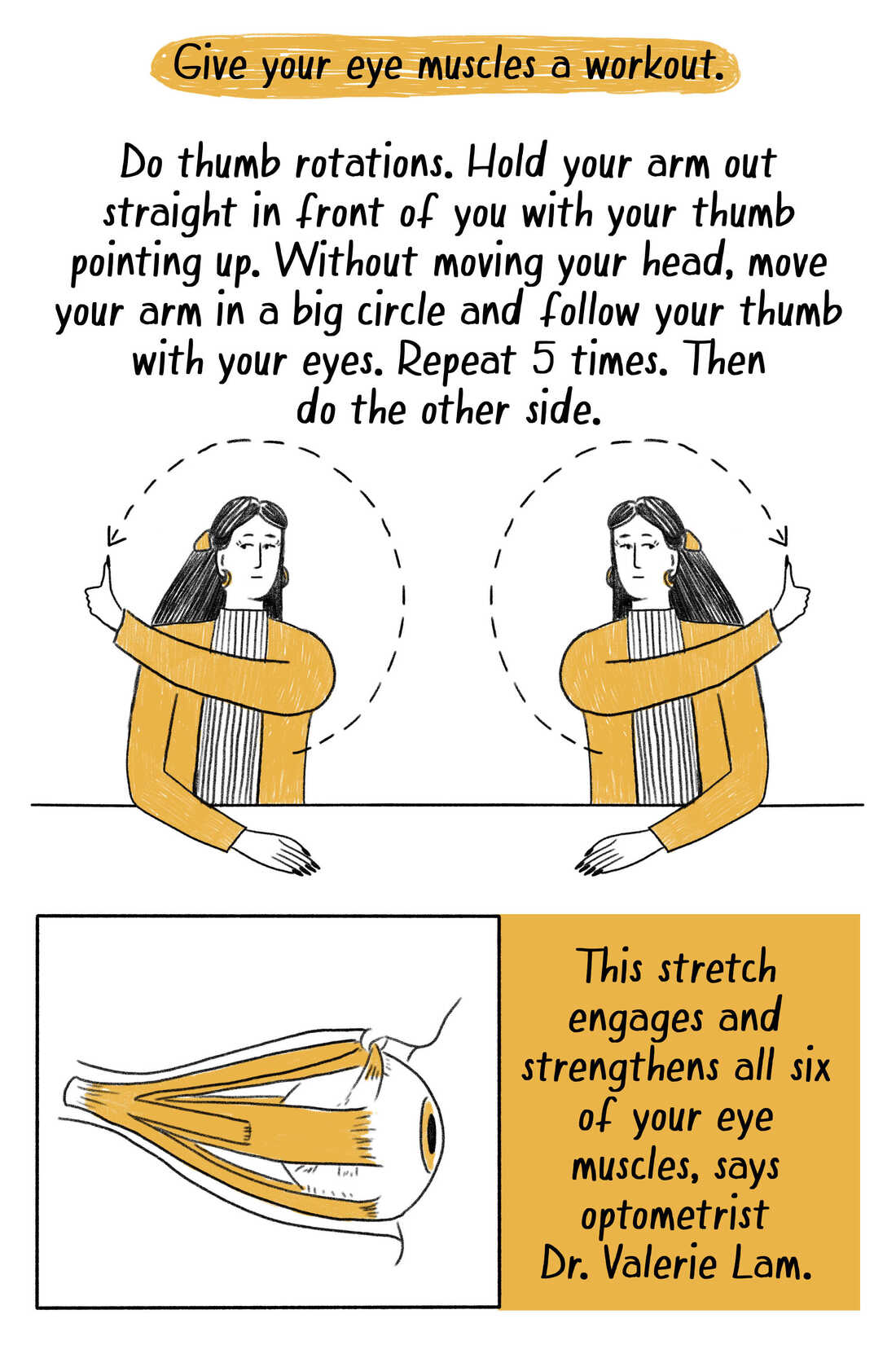 Bande dessinée illustrant une femme faisant "cercle du pouce" des exercices oculaires et une illustration montrant les muscles de l’œil. Le texte dit : "Entraînez les muscles de vos yeux. Faites des rotations du pouce. Tenez votre bras droit devant vous avec votre pouce pointé vers le haut. Déplacez votre bras en formant un grand cercle et suivez votre pouce des yeux. Répétez 5 fois. Ensuite, faites l'autre côté..."