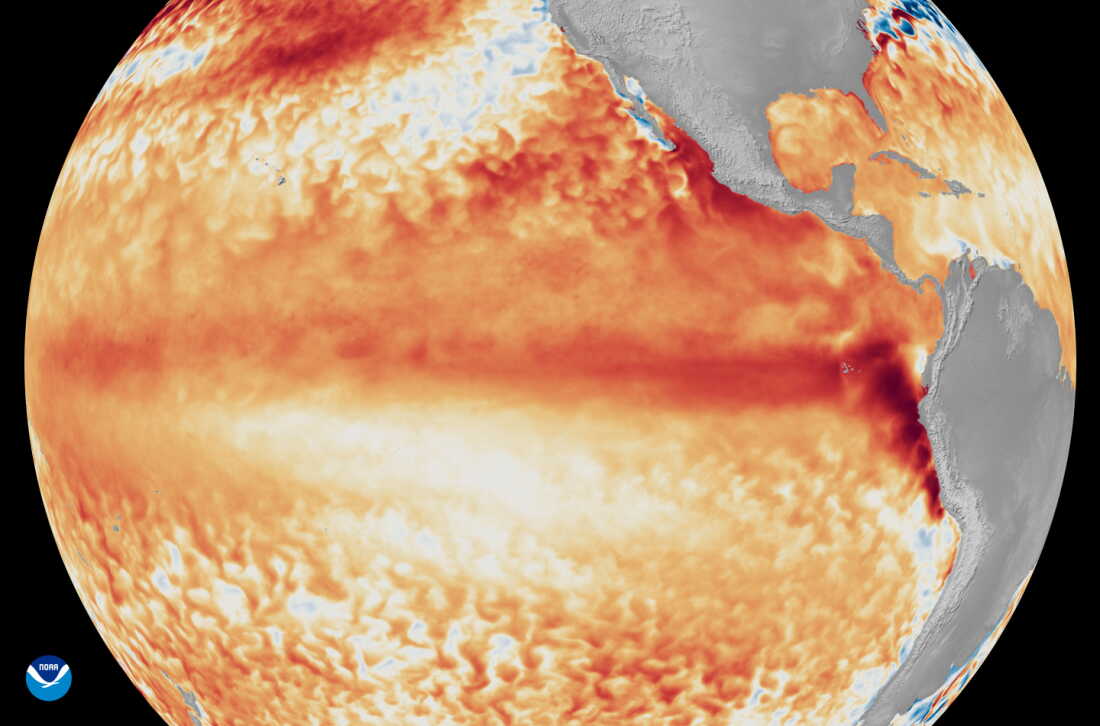 En juin 2026, les températures à la surface de la mer dans l’océan Pacifique autour de l’équateur étaient déjà anormalement élevées, signe d’un phénomène El Niño en développement. Depuis, ils n’ont fait qu’augmenter.